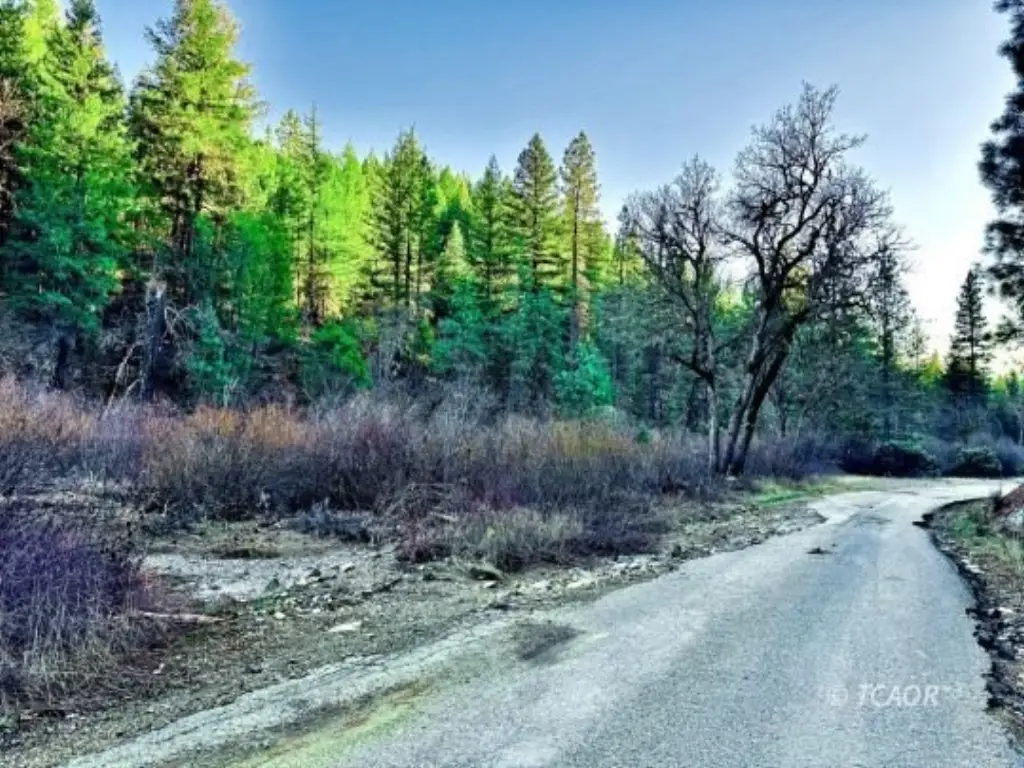 Picture 22