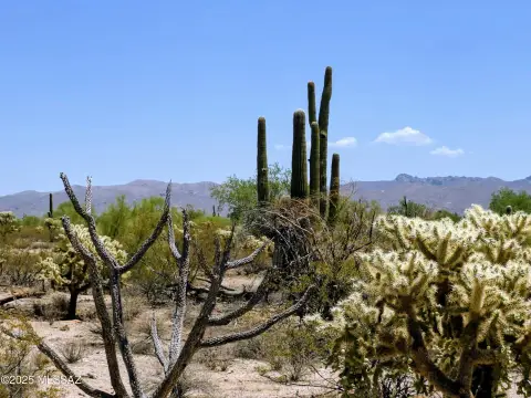 Marana Residential Land Opportunity