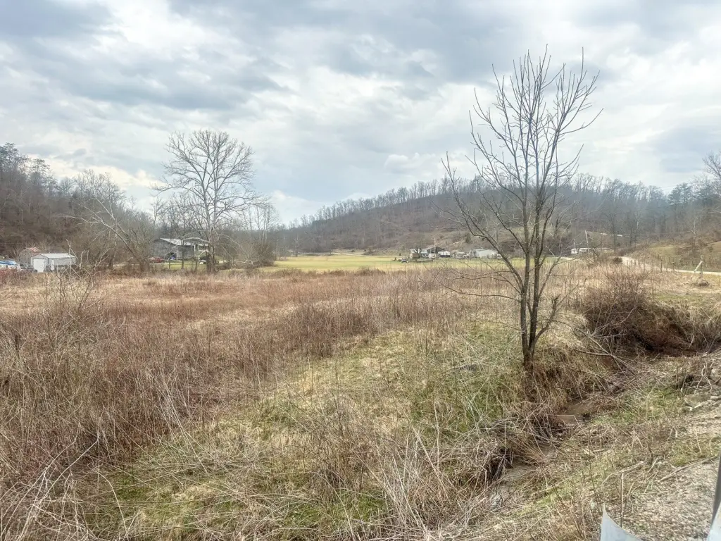 Picture 9