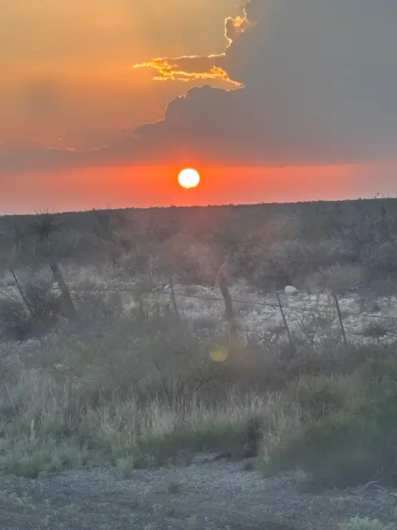 Picture 26