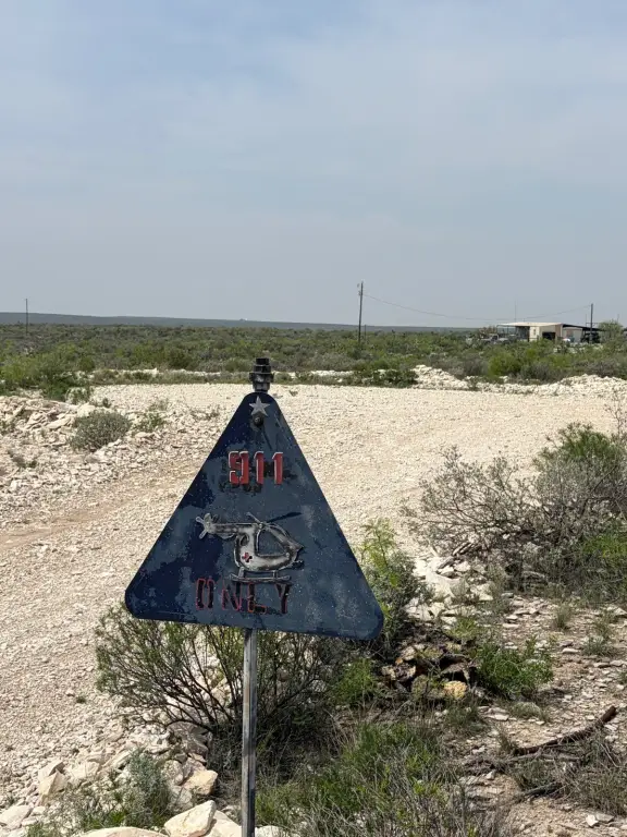 Picture 25