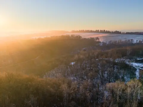 Vernon County Hunting and Timber Tract