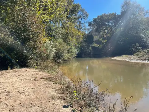 Collins MS Hunting and Timberland