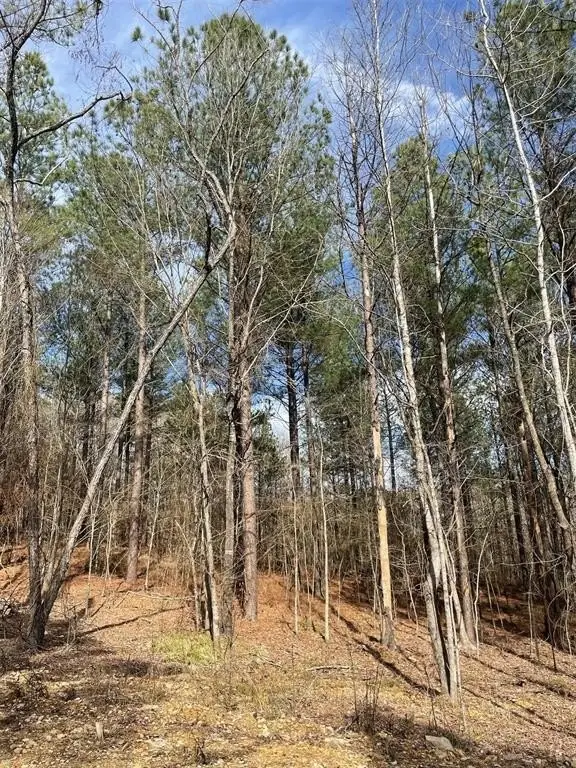 Picture 3