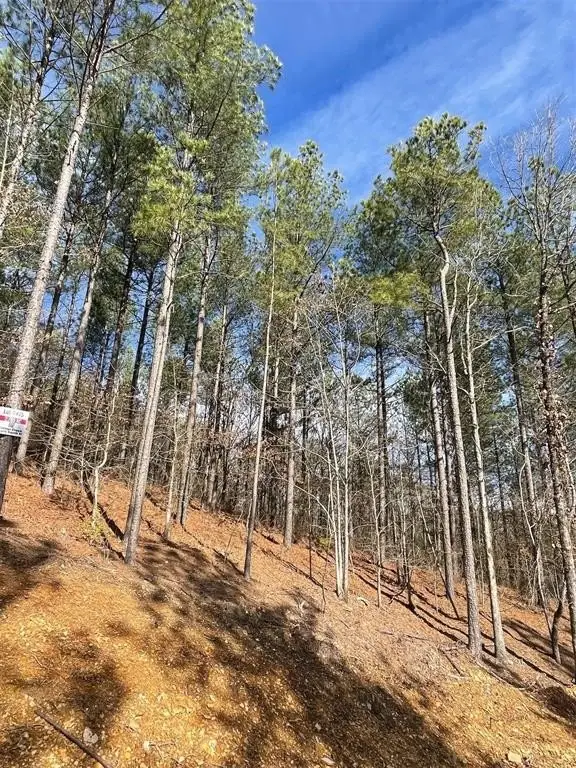 Picture 4