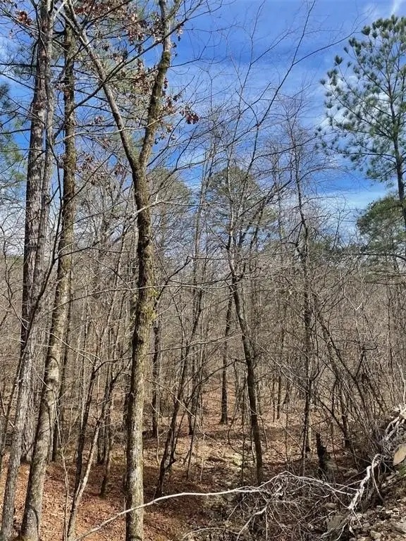 Picture 3