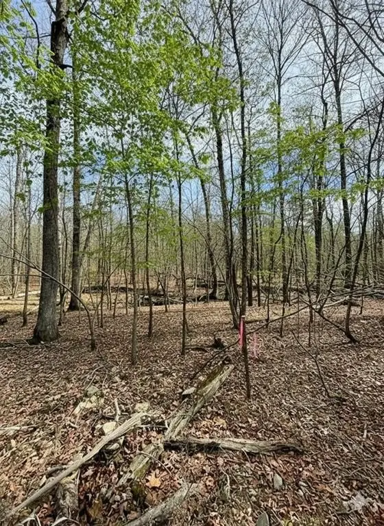Picture 4