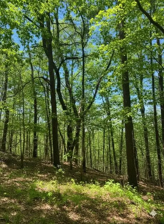 Picture 7