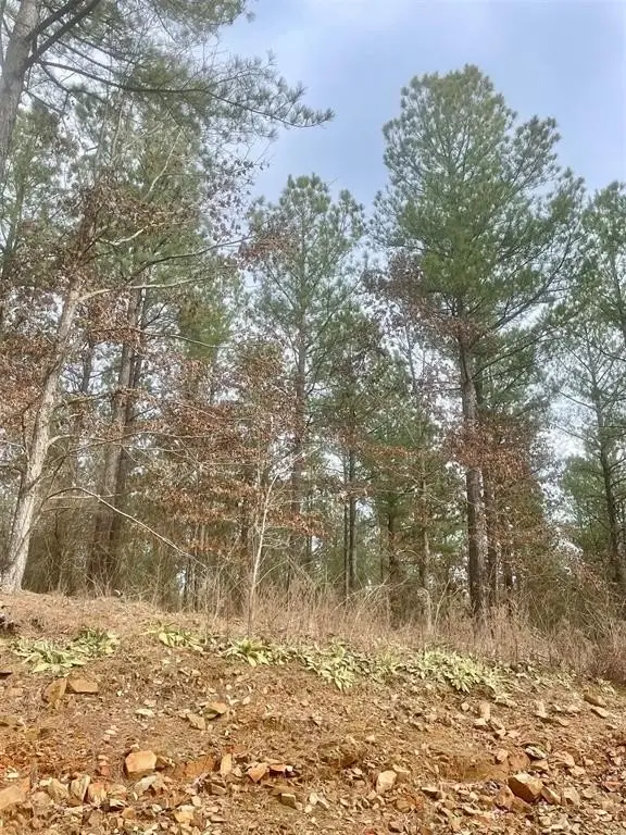 Picture 2