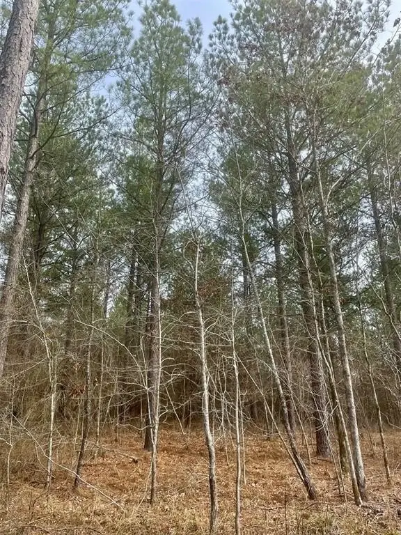 Picture 4