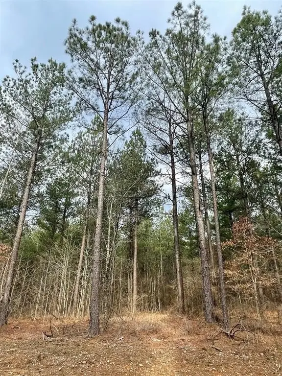 Picture 4