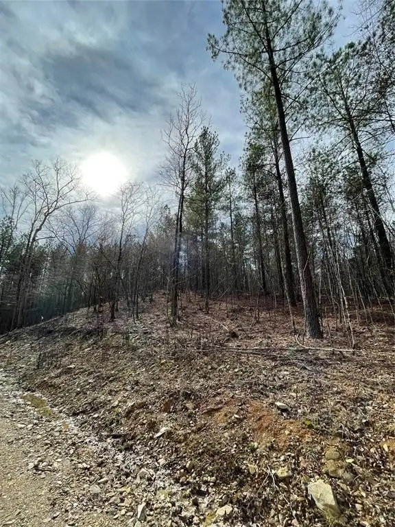 Picture 5