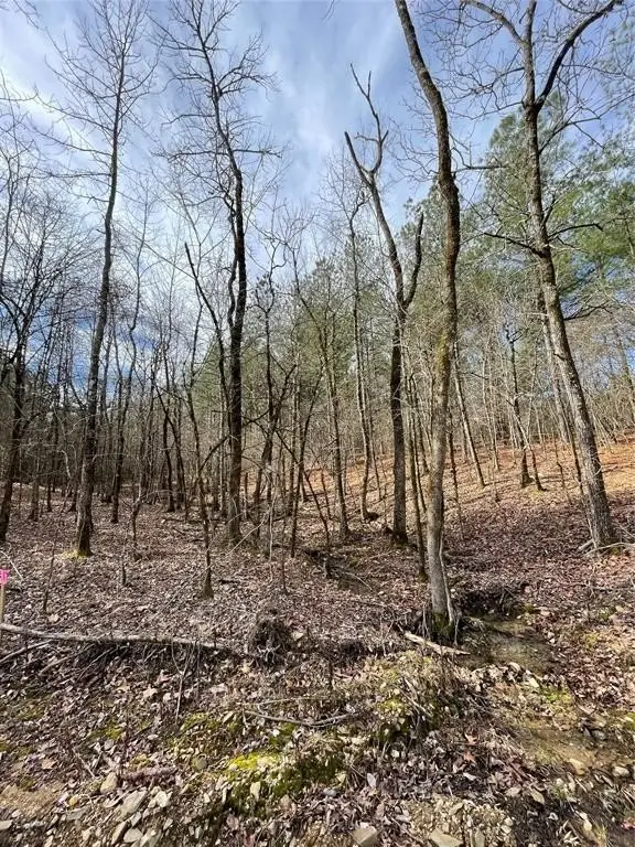 Picture 4