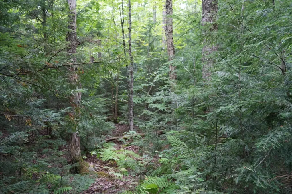 Picture 20