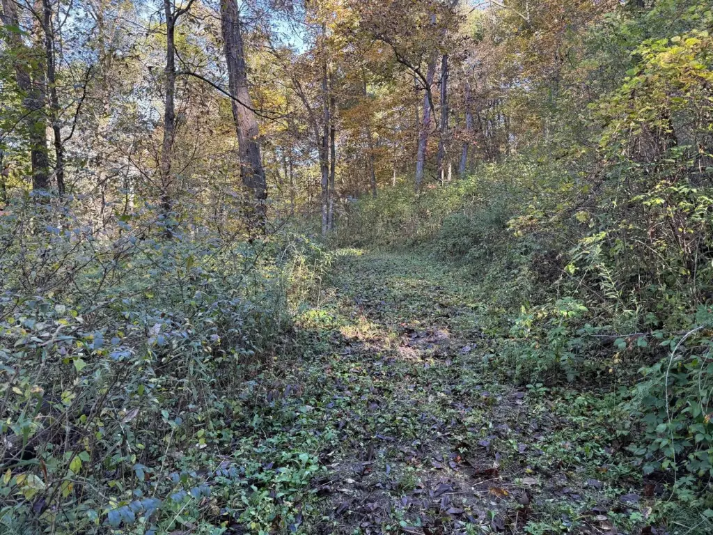 Picture 47