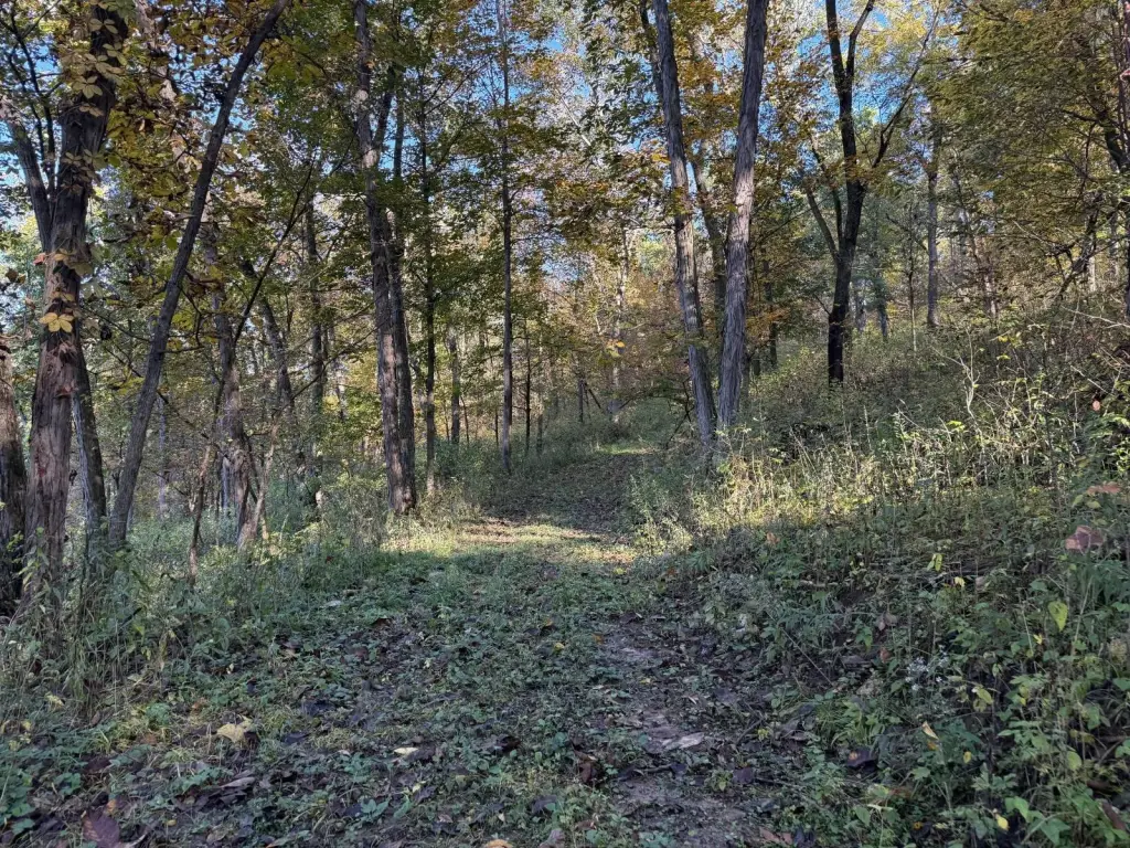 Picture 41