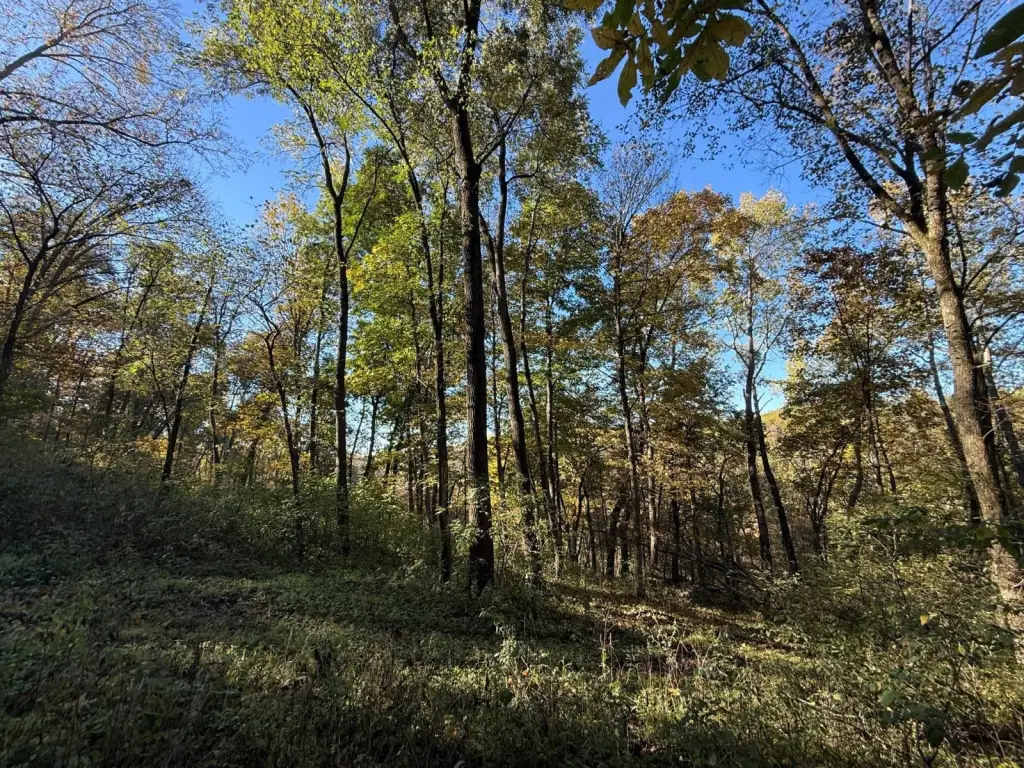 Picture 48