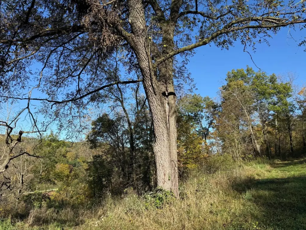 Picture 39