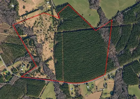 Farm with Pasture and Pine