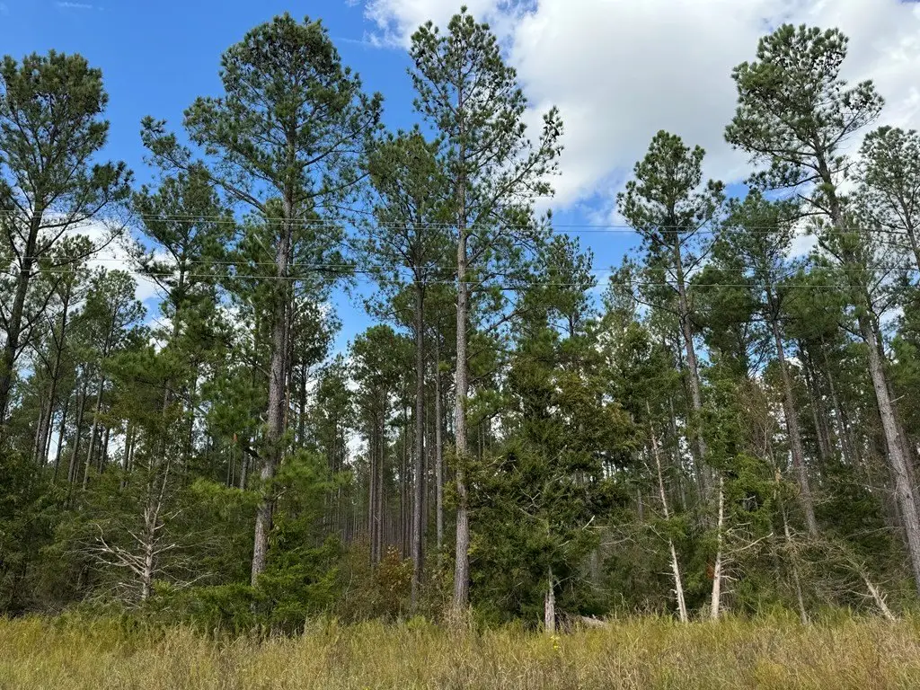 Picture 25