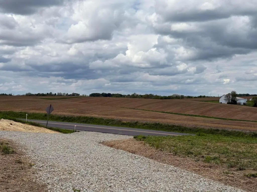 Picture 14