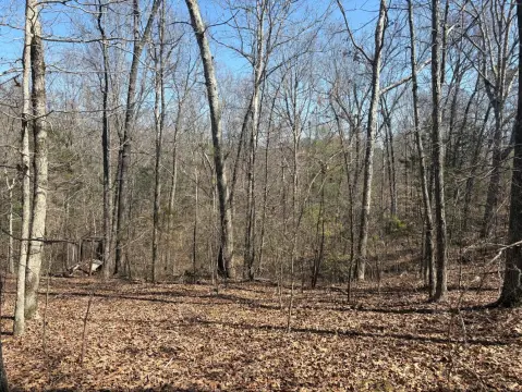 Secluded Wooded Land Near Lexington