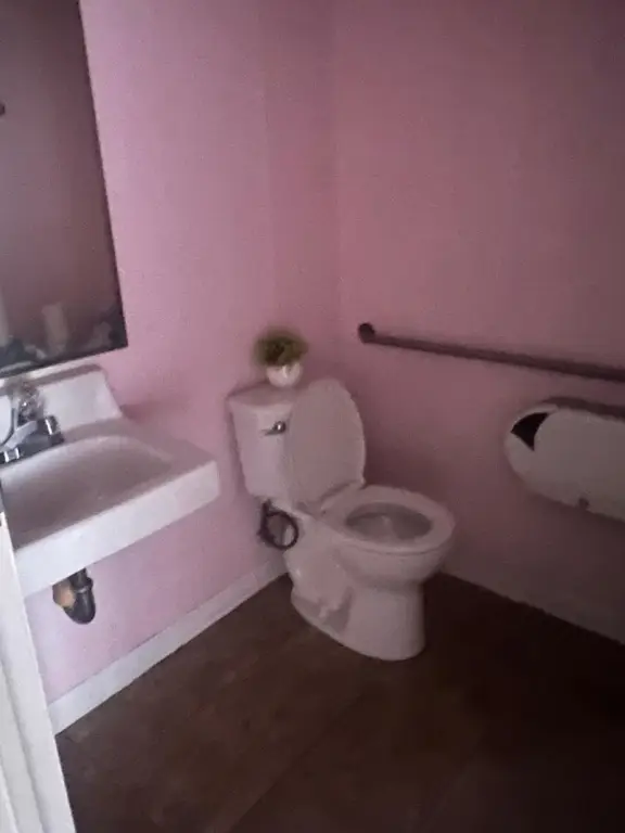 Picture 8
