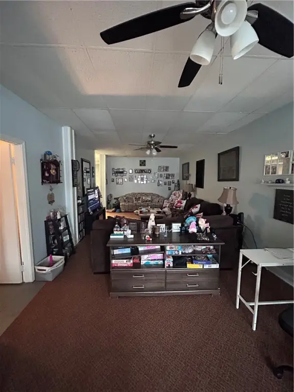 Picture 13