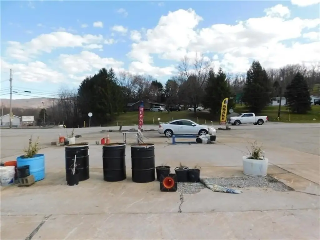 Picture 8