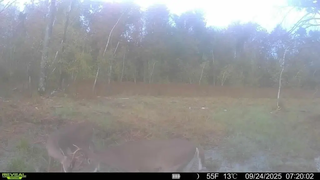 Picture 13