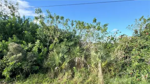 Residential Land in Lehigh Acres