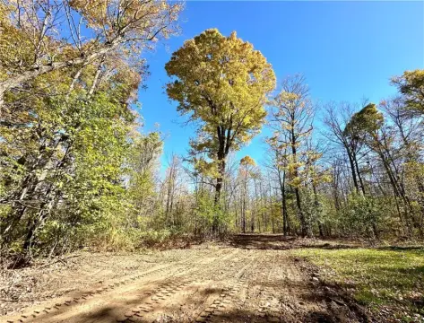 Lakefront Acreage in Sawyer County