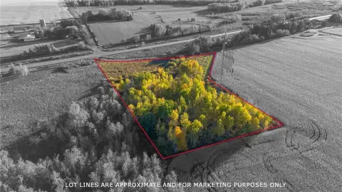 Secluded Wooded Land Near Glen Flora