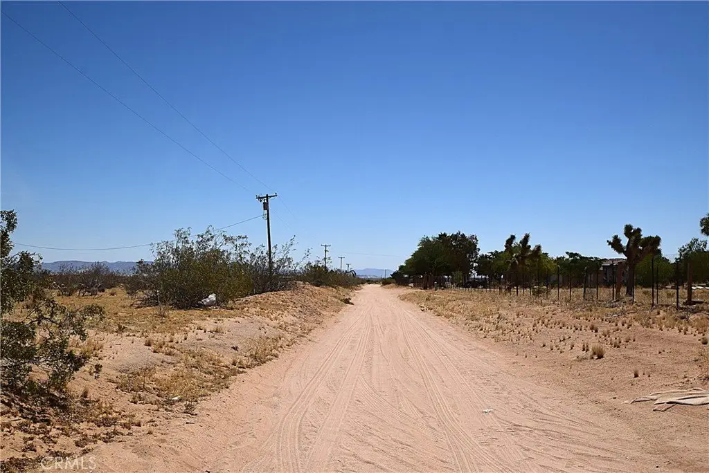 Picture 8