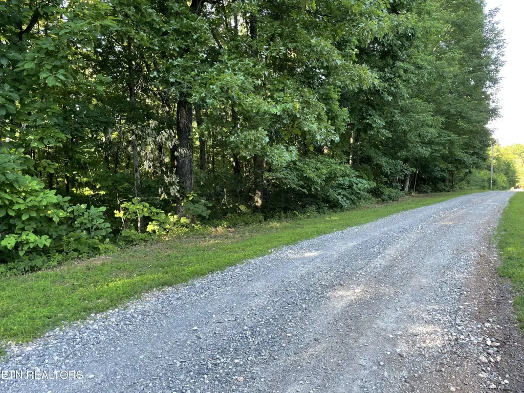 Picture 21