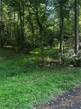 Land Near Reddies River