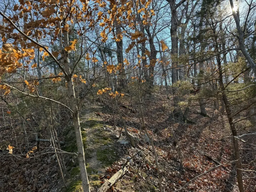 Picture 6