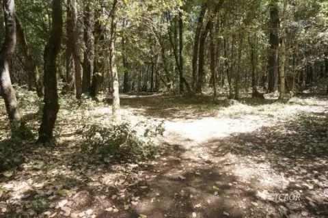 Land in Hawkins Bar, CA