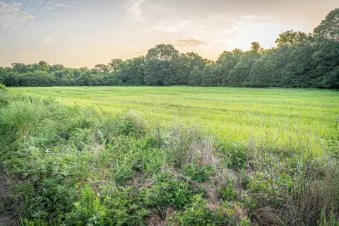 170 Acres of Farmland and Timber