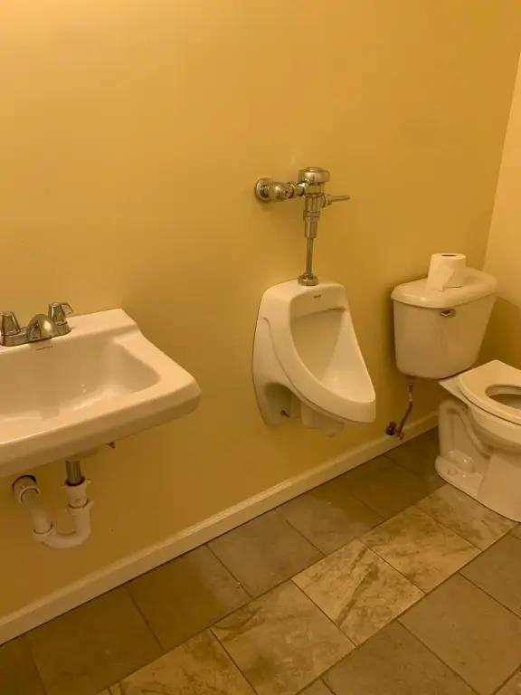 Picture 11