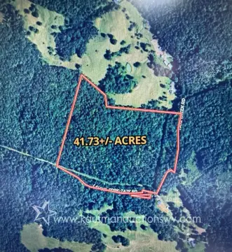 Hunting Land with Road Frontage