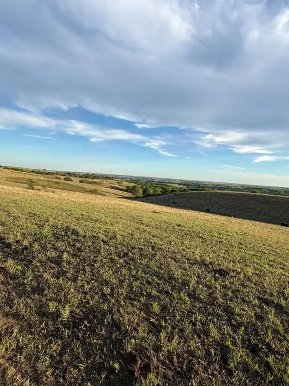 Picture 69