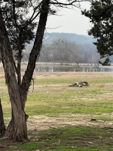 Cleared Land in Granbury, Texas