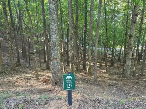 East Ellijay Vacant Lot