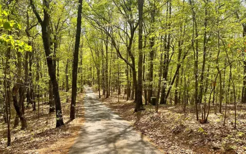Young Harris Acreage with Mountain Views