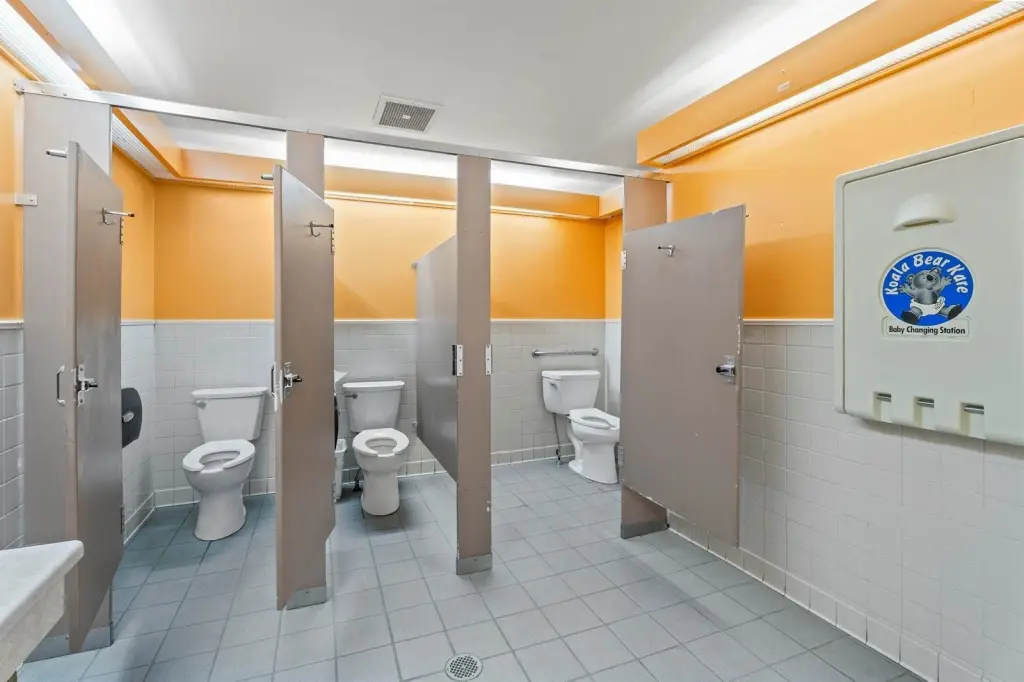 Picture 17