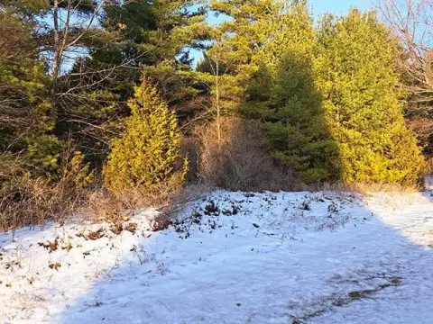 Heavily Wooded Baileys Harbor Land