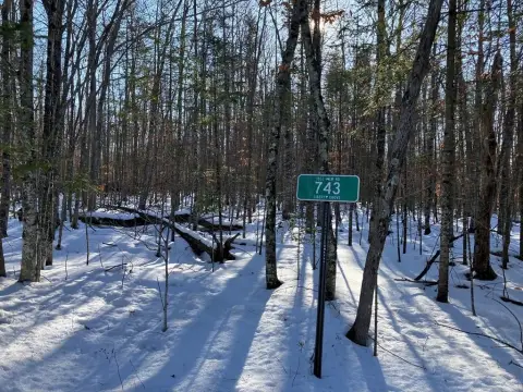 Wooded Land Parcel in Ellison Bay