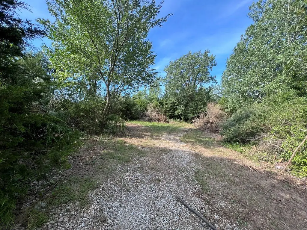 Picture 27