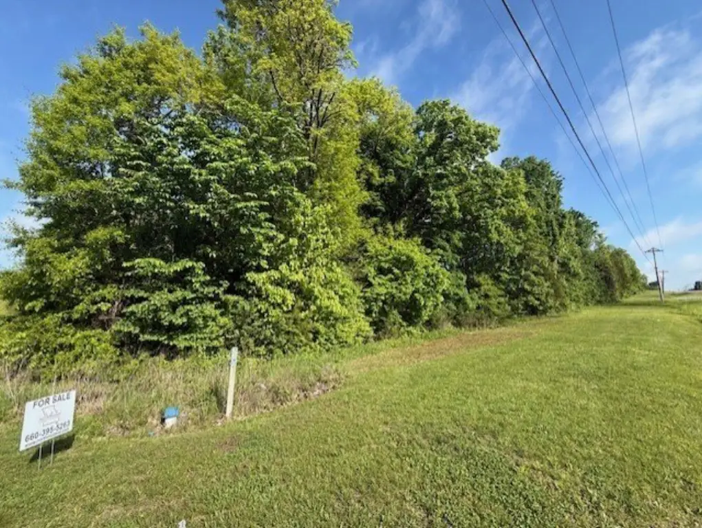 Picture 9